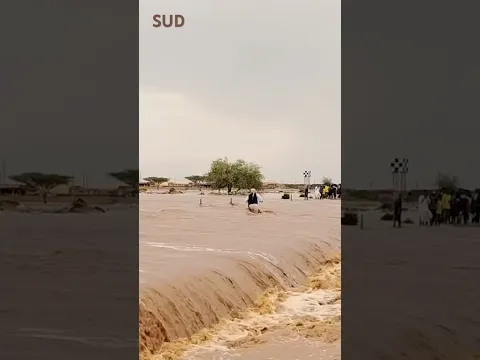 سيول وامطار كسلا شرق السودان #السودان #اخبار_السودان