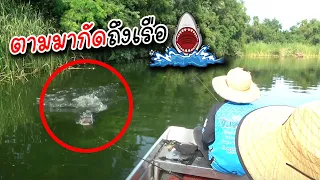 โหดจัด อ้าปากหวอ พุ่งเข้าหาเรือ | เด็กตกปลา