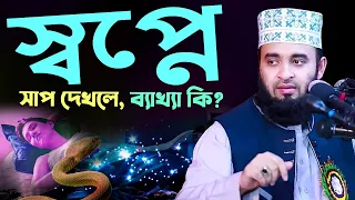 ঘুমের মধ্যে স্বপ্নে সাপ, কাক, দুধ, আজান, নামাজ পড়া দেখলে ব্যাখ্যা কি? mizanur rahman azhari waz
