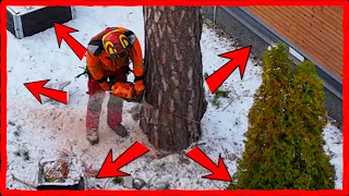 2025 Job 6: No Room to Fell a Tree? Watch This Genius Solution!