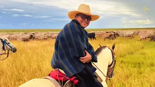 Jorge Guerrero - Novilla Reventadora (Vídeo Letra)