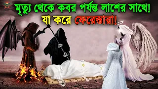 ইন্নালিল্লাহ! দেখুন মৃত্যুর পর কবর পর্যন্ত লাশের সাথে যা যা করে ফেরেশতারা! ভয়ে কেঁদে ফেলবেন!!!