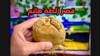 أحلى عروسة دي ولا إيه 😁