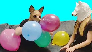 Best funny videos prank by Tanya, Dasha and Misha 98 - dogs popping balloons
