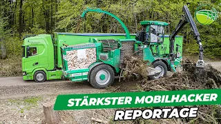 Leistungsstärkster Mobilhacker | ALBACH Diamant | AgrartechnikHD Reportage