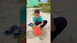 Kumpulan video terbaik 19 februari 2025