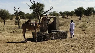 كن عند البئر في الصحراء