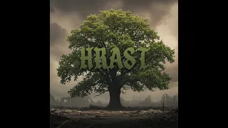 S.A.R.S. - Hrast (Official lyrics video)