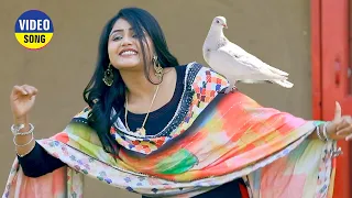 Kabootar 2 ! New Haryanvi Song ! Renuka  ! Pranjal ! Haryanvi Song ! Pooja Panjaban ! Haryanvi 2026