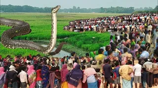 বেইমানী করায় আল্লাহ সাপটিকে  একি করলেন || আল্লাহর কুদরত || ইসলামিক কাহিনী 2 || Miracle of Allah