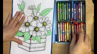 Color the picture 43