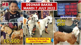 Deonar Bakra Mandi 7 July 2022 | Latest Update & Bakro ke Rates