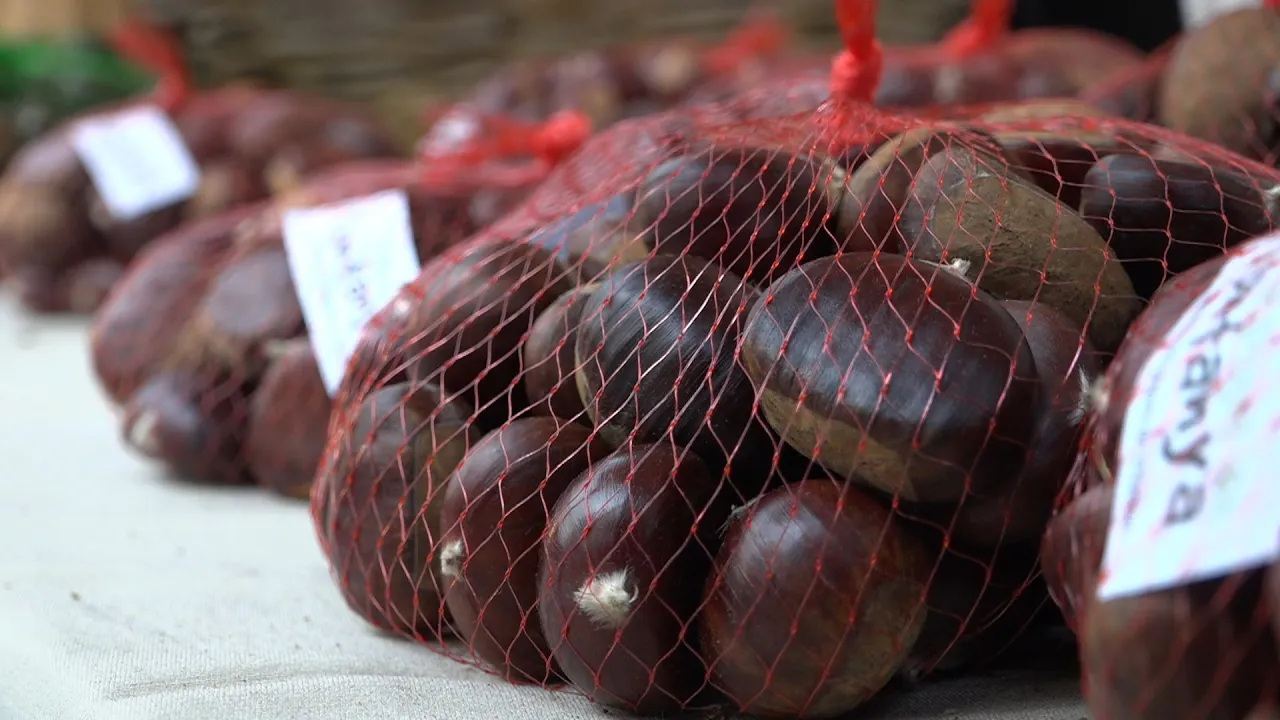 Fira de la Castanya de Viladrau 2025