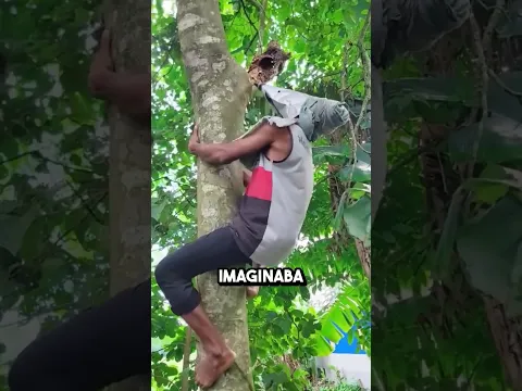 Se disfraza y termina cara a cara con un jaguar 🐆😳