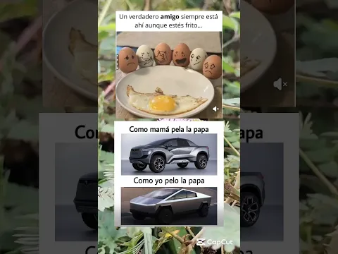 memes random xd