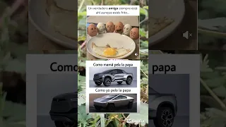 memes random xd