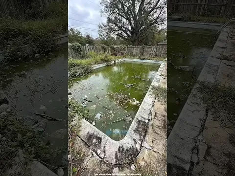 What a filthy swimming pool  #shorts