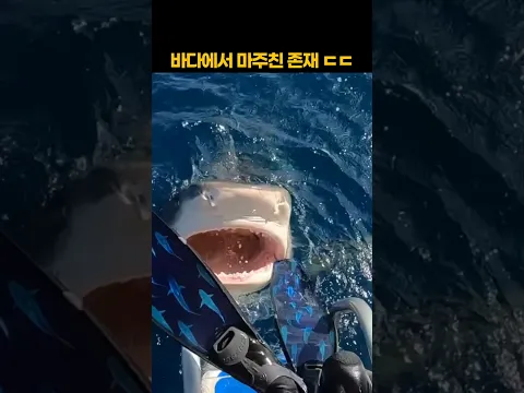 바다에서 마주친 존재 ㄷㄷ