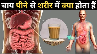चाय पीने से शरीर में क्या होता हैं.? | What happens When you Drink Tea