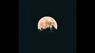 Kahin Deep Jale Kahin Dil :  Kanta Das