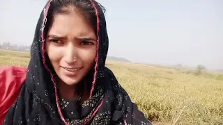 सपोर्ट करो फ्रेंड वीडियो जरूर देखें soun chouhan🙏🙏