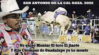 NO QUIZO MONTAR EL JINETE Y DIJO LA CHOMPA DE GUADALUPE YO LO MONTO¡¡LOS DESTRUCTORES EN OAXACA 2022