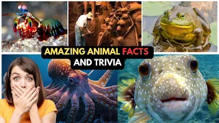 Insane Animal Facts That Sound Fake But Are 100% True! Mind-Blowing Nature Secrets