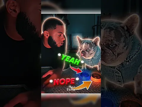 Owner😳🐶:  *HUMAN TRAPPED IN DOG BODY?!*