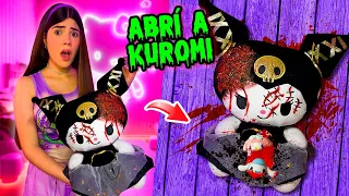 ABRÍ un PELUCHE de KUROMI y ME AMENAZÓ💜💀 (Por qué me habló??⚠️) | Ani Cat😻
