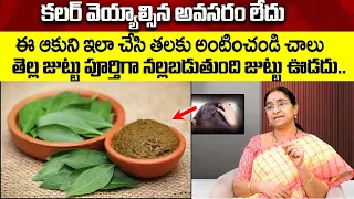 రోజుల్లో కాదు నిమిషాల్లో.. తెల్ల జుట్టు మొత్తం నల్లగా మారిపోయితుంది.. | White Hair Turns Black Hair
