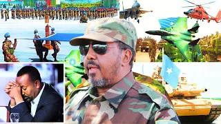 Militeriga Somalia: Awooda Ciidamada Somalia, Hubka Cusub iyo Cabsida Itoobiya | Siraha Militeriga |