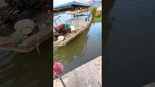 Big Carp Fish Catch by Hook। Village Boy Catch fish in Rever।