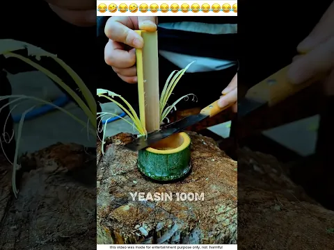 শেষটার জন্য প্রস্তুত ছিলাম না😂😆 | ~ mini  wood toy-woodworking art skill | hand craft | #shorts