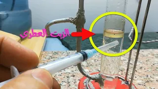 طريقة استخلاص زيت نبتة اكليل الجبل...الروزمري بجهاز التقطير البخاري ونبذه عن اهم فوائده