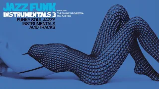 Best Acid Jazz & Funky Instrumentals Vol. 3 | True Relaxation and Joy
