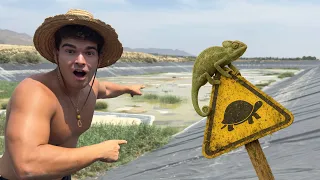 ¡Esta es la BALSA más GRANDE del MUNDO! Y Está Llena de Animales muy Raros…
