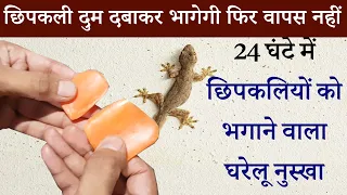 छिपकलियों को भगाने वाला घरेलू नुस्खा how to get rid of lizards permanently छिपकली भगाने का स्प्रे