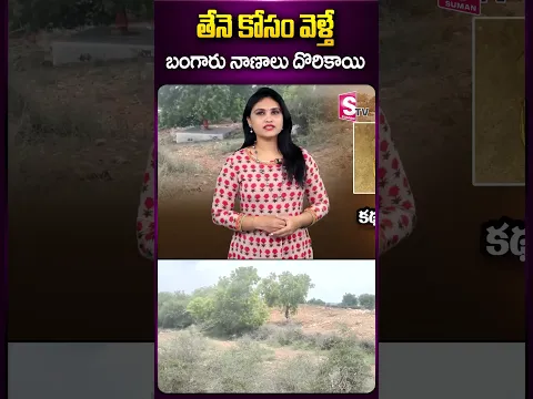 తేనె కోసం వెళ్తే బంగారు నాణాలు దొరికాయి #honey #goldcoins #temple #latestnewsupdates #news #viral