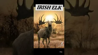 Top 10 Animals That Scientific Are Trying To Bring Back ☠️⚡️ #short