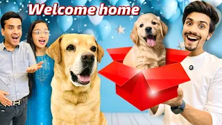 New Member In The House | Biggest Surprise For Leo | Anant Rastogi