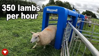 TE PARI Racewell DR3...  First time setup and use!