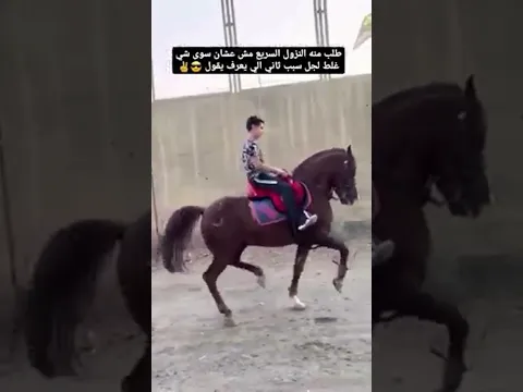 ليش طلب منه يوقف الحصان .لا تنسى متابعة