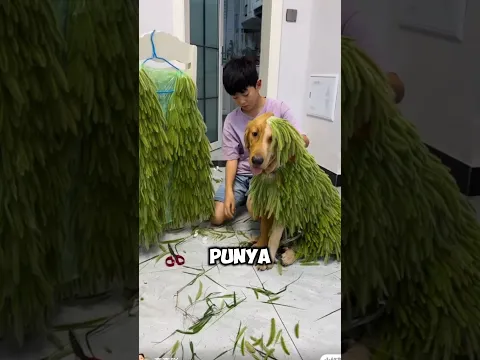Anak Laki Laki Ini Mengejutkan Ibunya ‼️😱#shorts