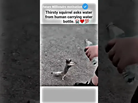 Thirsty squirrel asks.....💔😭 motivational status #motivation #whatsappstatus #youtube #attitude