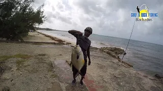 South Coast Hand Line Fish Killer Strikes Again / Surf & Rock Fishing Crew Go Offshore