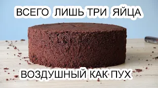 Бисквит шоколадный пышный/Сhocolate Sponge cake