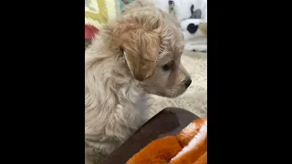 Playing Games!