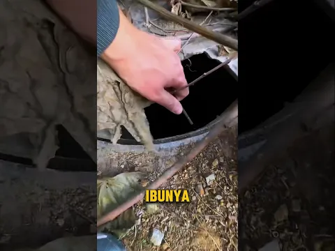 Pria Ini Tak Sengaja Menemukan Ruang Bawah Tanah Mengejutkan😱 #shorts