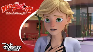 🍌 Królowa Bananów | Miraculous: Biedronka i Czarny Kot | Disney Channel Polska