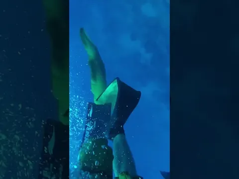 ¿Por que se ha muerto esta morena? #pesca #fishing #spearfishing